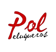 Logo Salon
